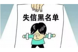 河池企业清欠服务